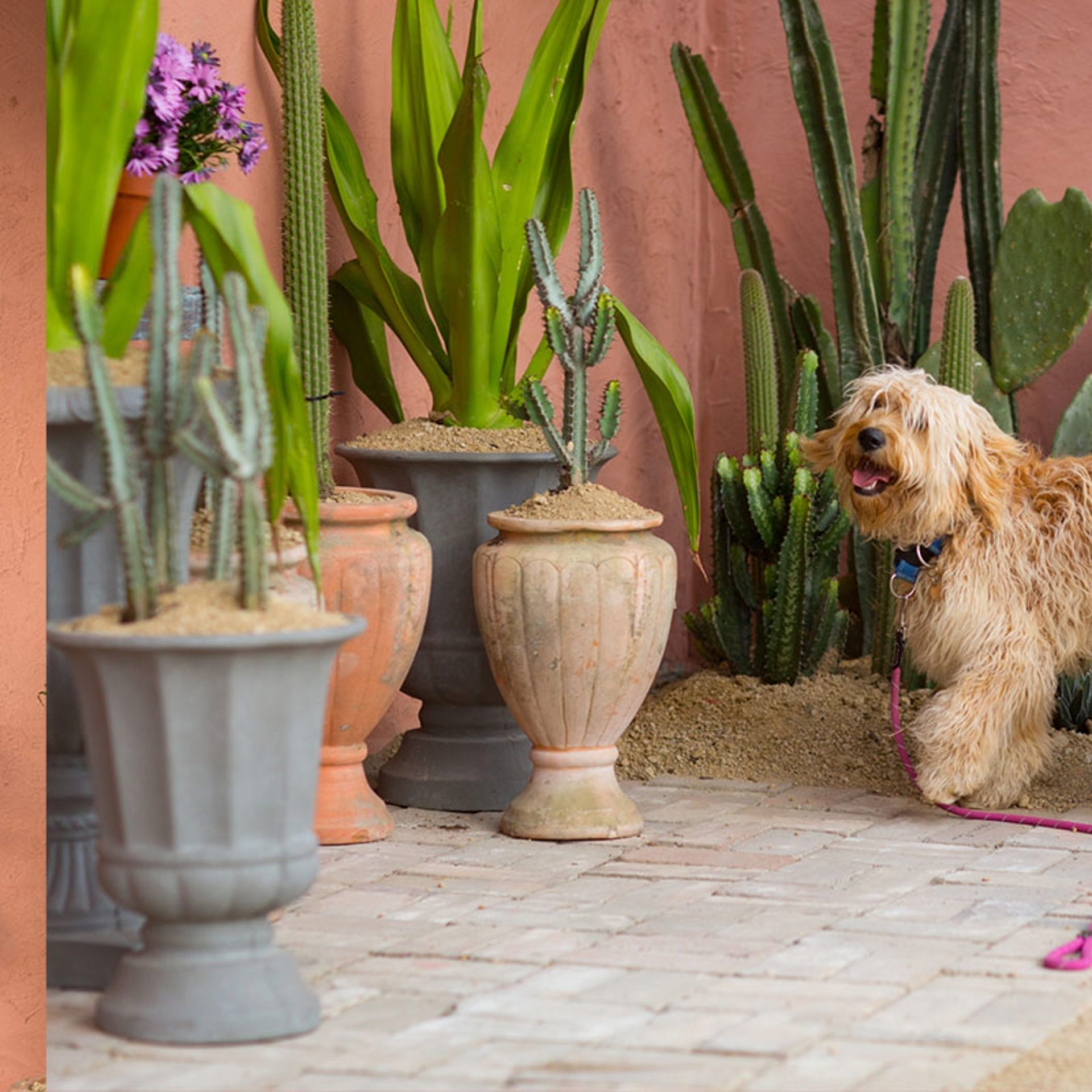 Traditional Lime Wash Exterior Paints Porter's Paints