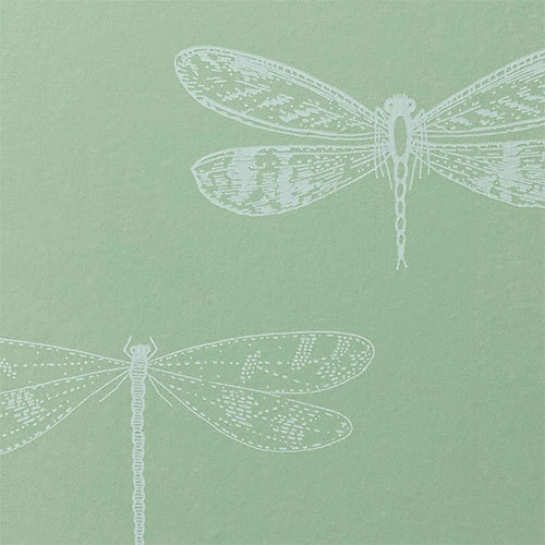View Our Exclusive Range of Designer Wallpapers | Porter's Paints View Our Exclusive Range of Designer Wallpapers | Porter's Paints