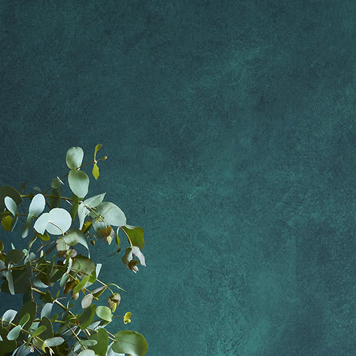 Featured image of post Frenche Paints : Decorative paints and construction chemicals.