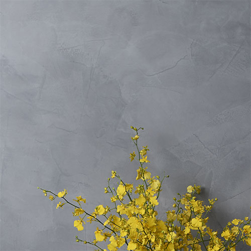 Explore Our Wide Range Of Paint Choices | Porter's Paints