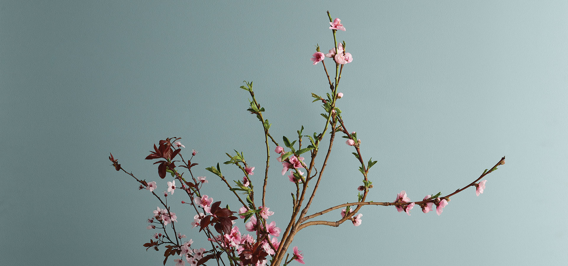 Quality paints, speciality finishes and premium wallpapers | Porter's Paints Quality paints, speciality finishes and premium wallpapers | Porter's Paints